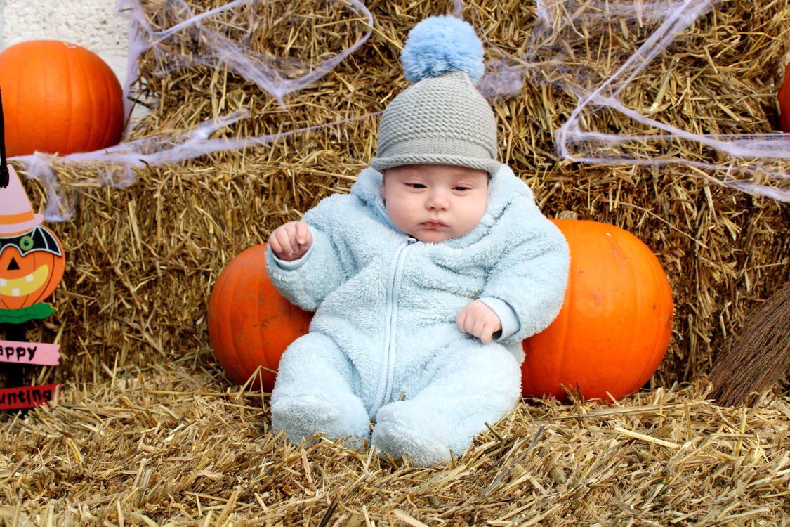 KilcooleyWC's tweet photo. Perfect day for a trip to the Pumpkin Patch at Ladybirds @KilcooleyWC. Lots of smiles as we revealed the surprise in the children’s garden #hallloween #pumpkinpatch2020. https://t.co/YJ58wKkmL5