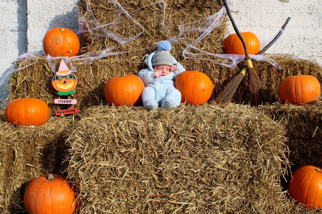 KilcooleyWC's tweet photo. Perfect day for a trip to the Pumpkin Patch at Ladybirds @KilcooleyWC. Lots of smiles as we revealed the surprise in the children’s garden #hallloween #pumpkinpatch2020. https://t.co/YJ58wKkmL5