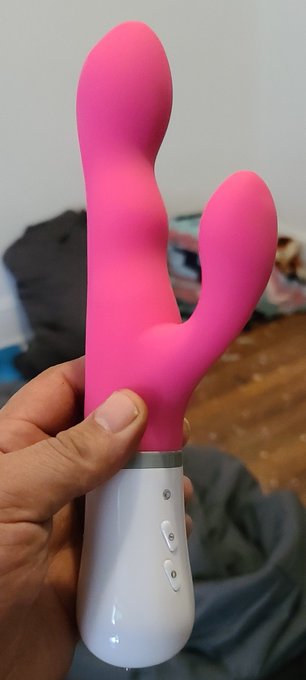 I own a Nora should I get a Domi 2? Making my toy collection grow while making them tremble with pleasure