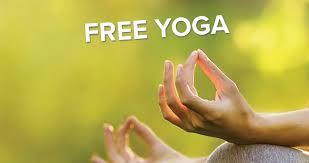 SSYS_nancy's tweet photo. November News! Get back to your practice with some free classes! https://t.co/EVDQ3IuNJm https://t.co/FnlKsLQEkI