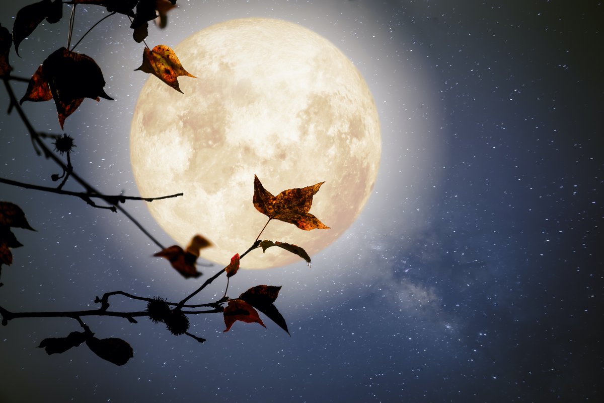 astrologyzone tweet picture