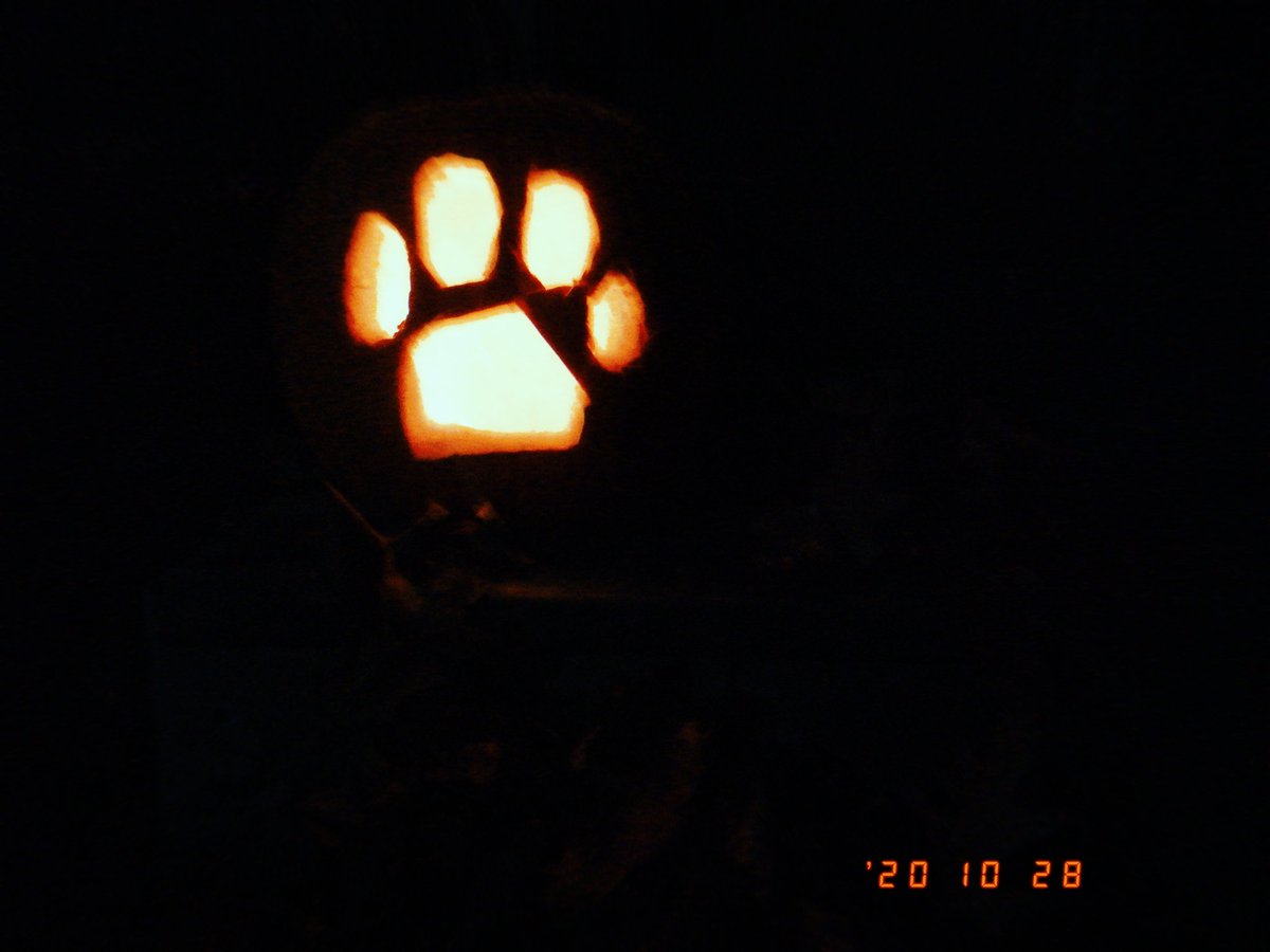 902jbear's tweet photo. Another successful pumpkin carving with the bestie 
🎃👻🖤
@lovewxchblrr 
#Halloween2020 #spookythings
#bestfriend https://t.co/JgDRbrE3Pj