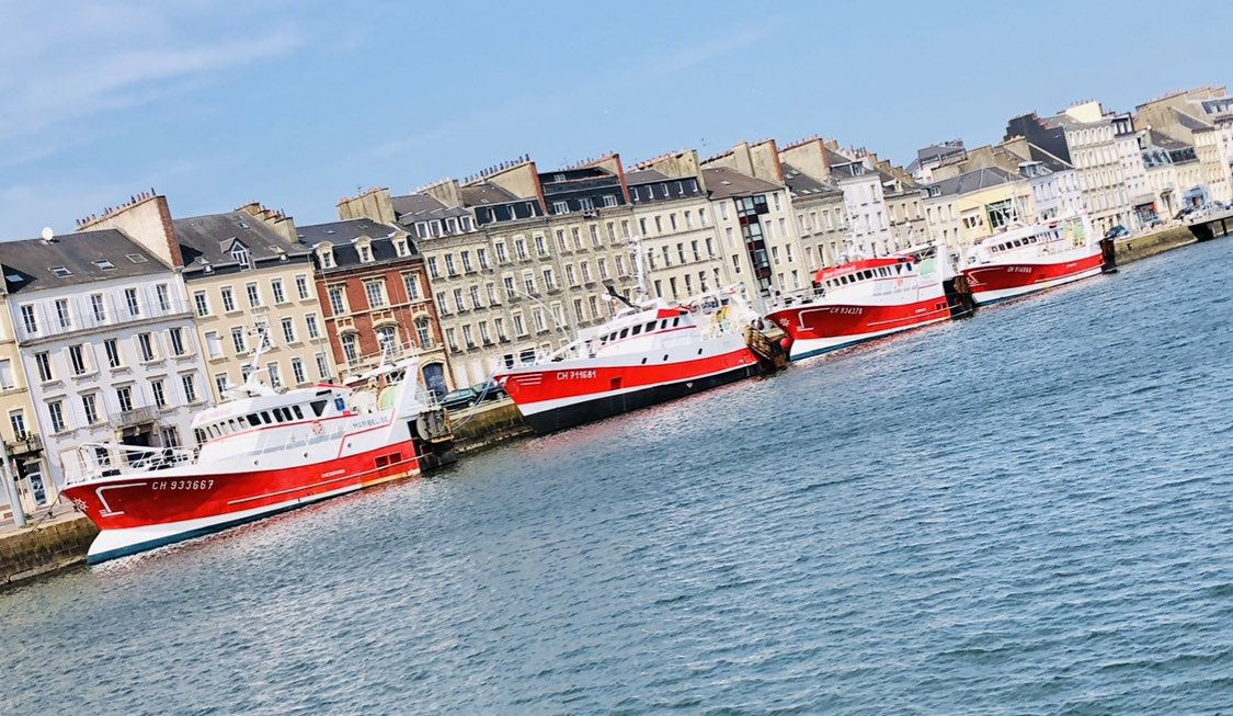 GodailleCom's tweet photo. 1/🚨Amis Cherbourgeois et chers clients ... Nous assurerons les Livraisons à domicile 🚗ou le retrait au port de cherbourg de vos commandes de poissons 🐟🦑et les livraisons dans la france 🇫🇷 entière en 24/48h via Chronofresh.
#cherbourgencotentin #poissonfrais #endirectdubateau https://t.co/weq0trs4Ng