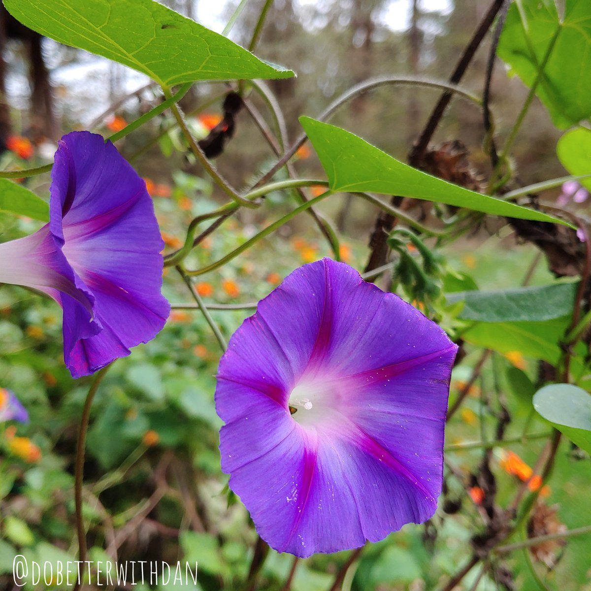 Always find something to be positive about and enjoy each day, no matter how small.
#positivity #happiness #beautiful https://t.co/XMAGDgREhO