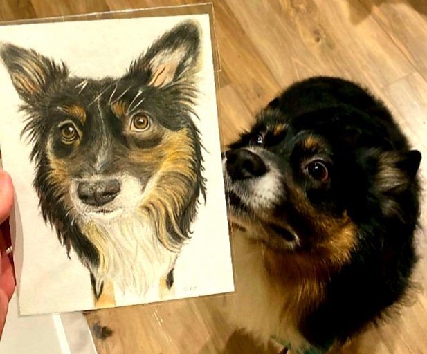 johnnerdraws's tweet photo. Atticus. 
This beautiful model approved of his recent self portrait. 

#atticus #drawing #pencilsketch #polychromos #fabercastell #coloringpencils #dogportrait #dogsoftwitter #sitbooboosit #animalart #mansbestfriend #womansbestfriend #pets https://t.co/ptl4VAFxiL