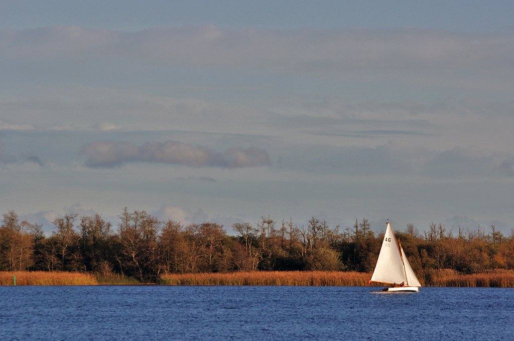 scullridge's tweet photo. More #BartonBroad 25/10 https://t.co/9t0K2tq8Ds