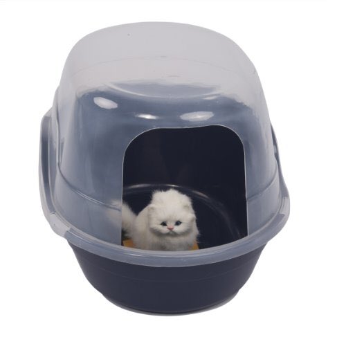 Let me bless your timeline with the absurdity of the cats who model for litter boxes