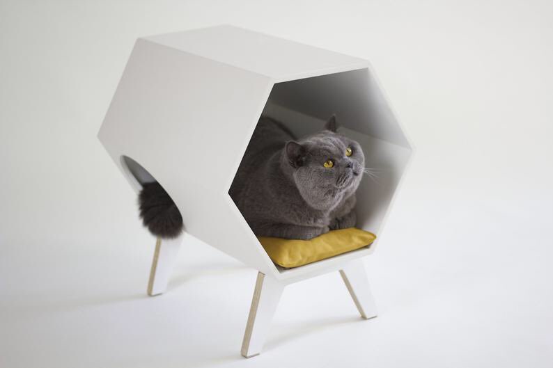 Let me bless your timeline with the absurdity of the cats who model for litter boxes