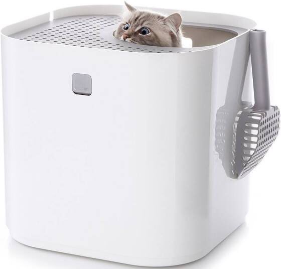 Let me bless your timeline with the absurdity of the cats who model for litter boxes