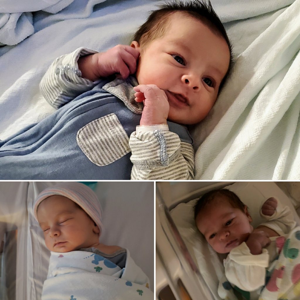 Michael Kadas tweet media