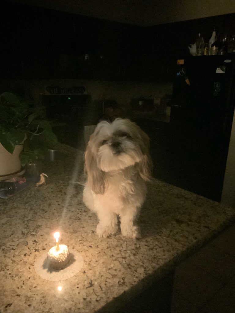 schy_boy's tweet photo. It was her birthday the other day 🥳 https://t.co/lThJp6mI2g
