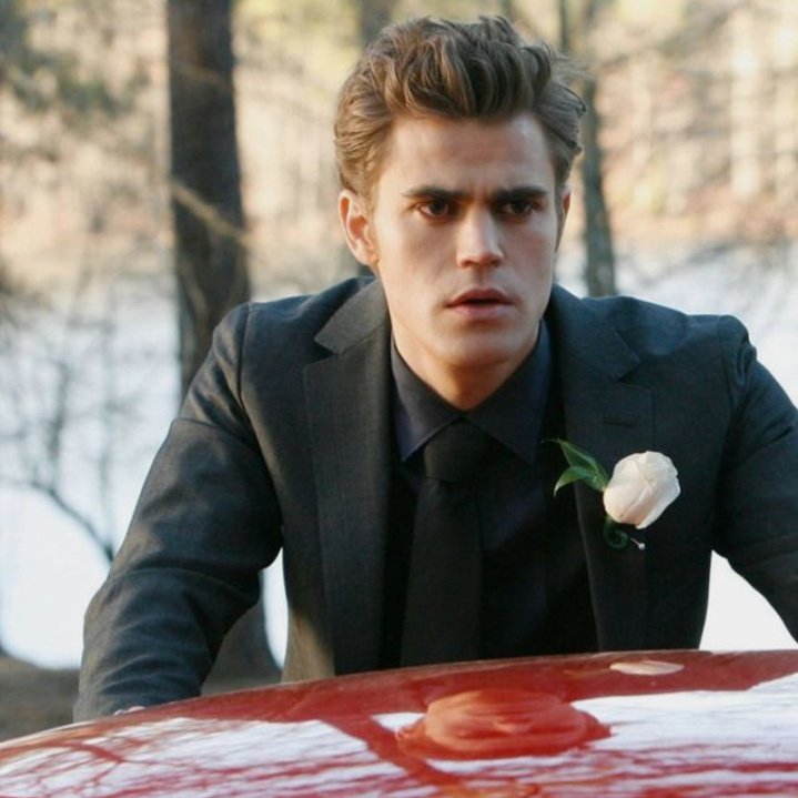 Stefan Salvatore as Hufflepuff