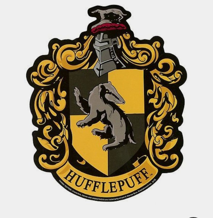 Lexi branson as Hufflepuff