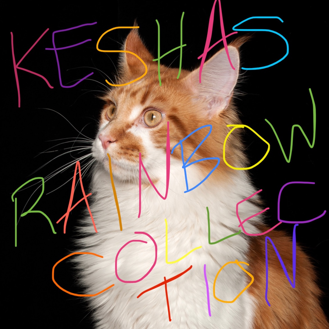 KeshasRainbowCollection tweet media