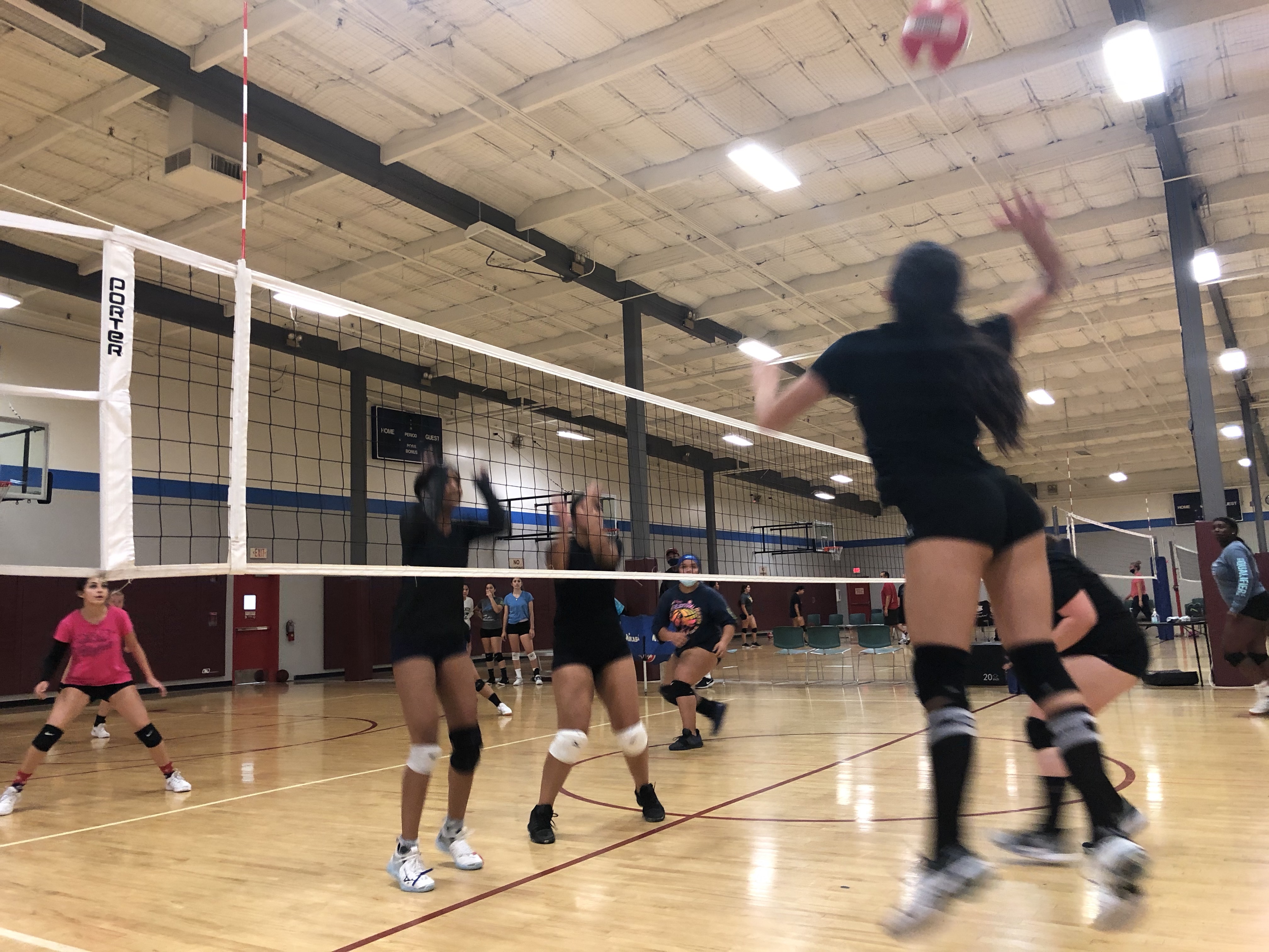 Volleyball Leggings with OOB Volleyball on the Leg! — Out of Bounds  Volleyball