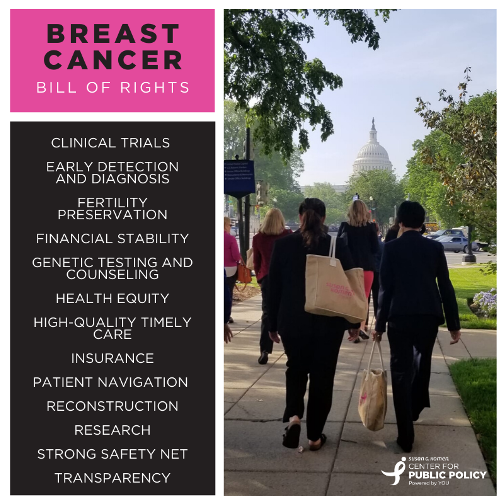 KomenNWohio's tweet photo. All Americans deserve access to quality, affordable health care. We need you to help us achieve this! Pledge to support the #BreastCancer Bill of Rights and be sure you're ready for election season: https://t.co/eAvMrriIYG https://t.co/UhsylIvvFH
