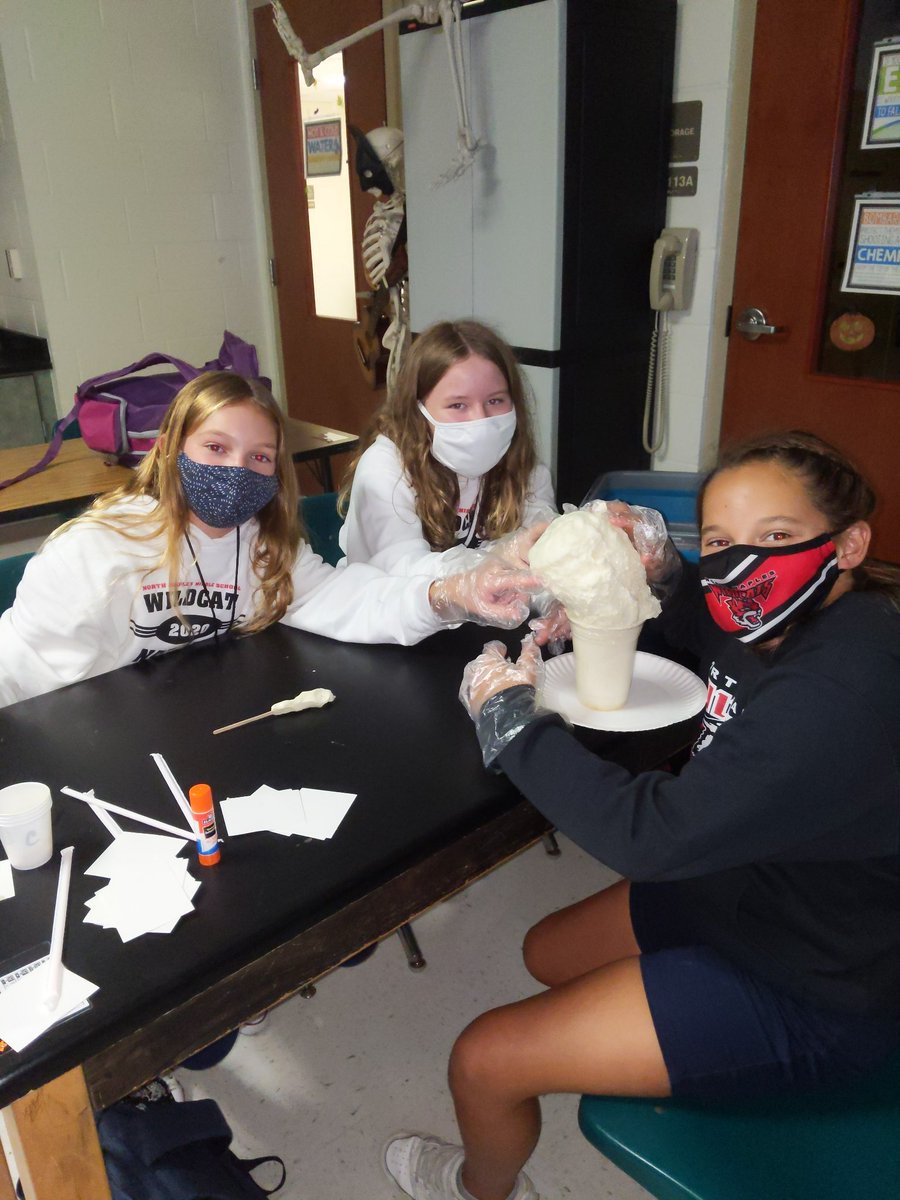 LaurelAndersen3's tweet photo. Ghouls are rising in science. @NNMSWildcats https://t.co/J1HMHOQBwV