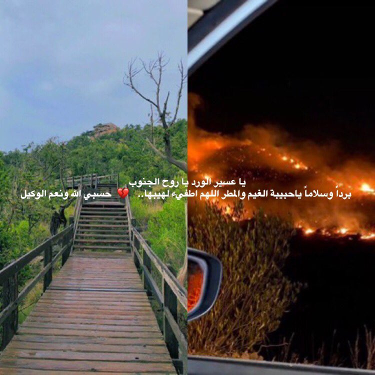 shakkdbbjd's tweet photo. #حريق_السوده واضح كانت من فعل المخالفين الحبشيين حسبي الله ونعم الوكيل ومن عاونهم ومن كان السبب https://t.co/ZDtY9m1P6u