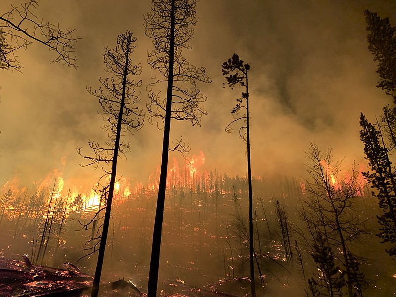 FIRE UPDATE: ‘Devastating information’: At least 222 homes and cabins lost in Cameron Peak Fire https://t.co/obwmQpQ6pz https://t.co/qn91zmJagc