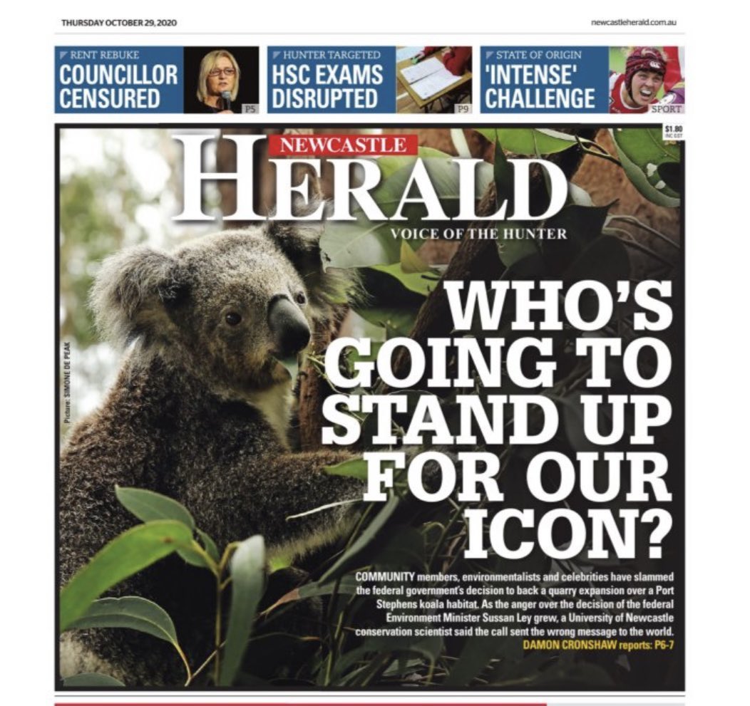 Many people I know stand up for koalas every single day. 

Locally, Port Stephens Koalas volunteers have been doing it for years.

Residents, rescuers, academics &amp; school kids stood up.

Our koalas were let down by the decision-makers <a href="/GladysB/">Gladys Berejiklian</a> <a href="/sussanley/">Sussan Ley</a> 

#saveportstephenskoalas