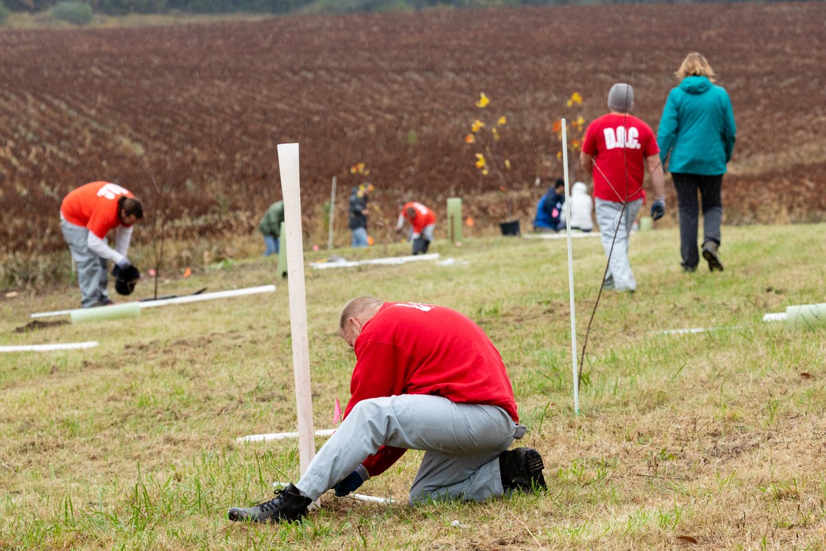 PennsylvaniaDEP's tweet photo. One of the winning projects for 2020 is SCI-Huntingdon's Correctional Conservation Collaborative, Riparian Forest Buffer Vocational Training. @CorrectionsPA @DCNRnews https://t.co/97DUch0iBd