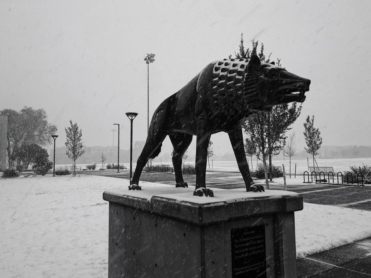 UNMLOBOS's tweet photo. Yesterday was a great day for a ❄️ Day. @UNMLoboSwimDive took full advantage. #GoLobos
#ThisIsNM | #WeAreNM https://t.co/hhHCwIeA3K