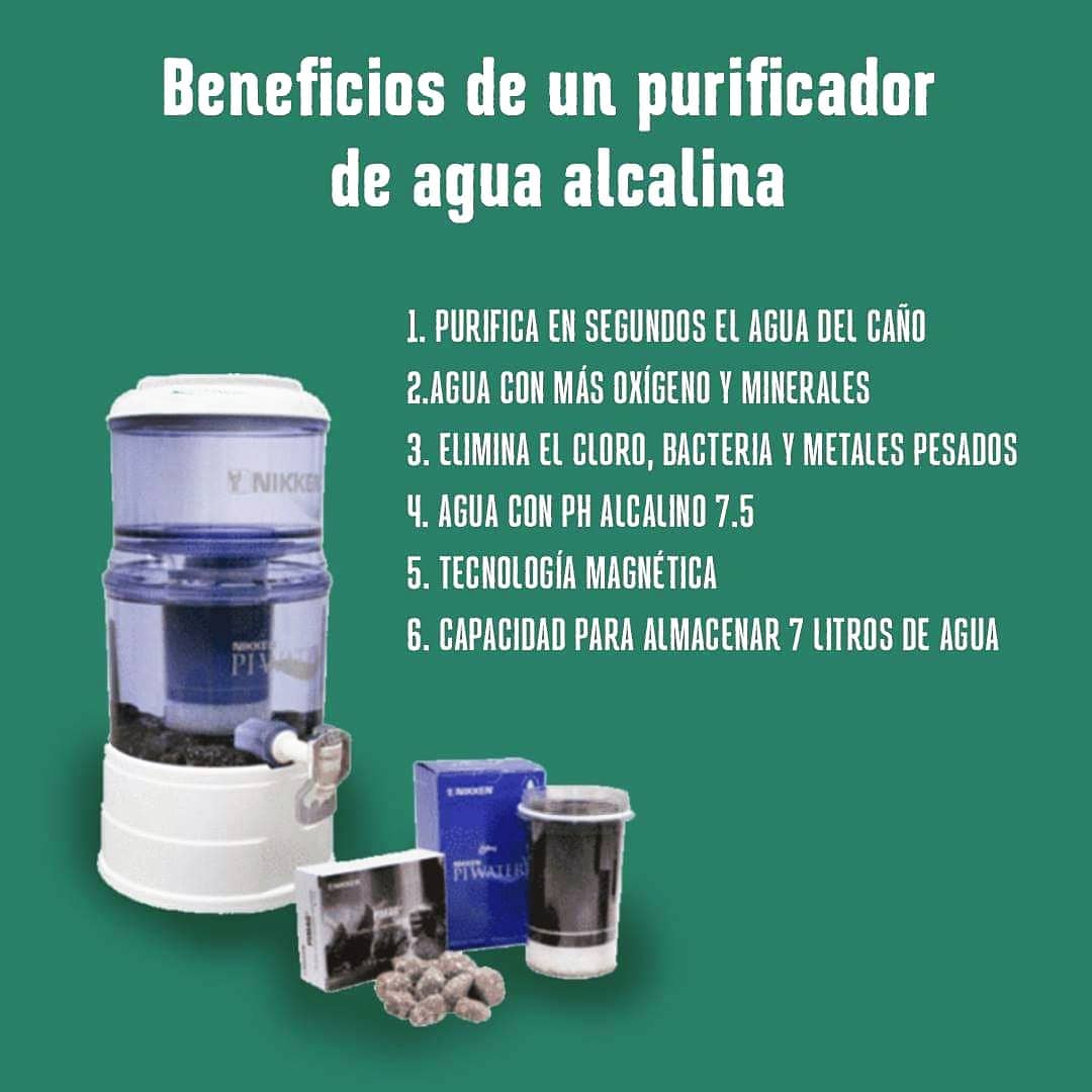 Ecosfera Biodegradables tweet media