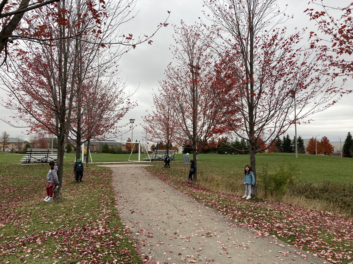 SwanLakeOE's tweet photo. “I wish we could stay out here!” exclaimed a fourth grade student @redmapleps1 as we wrapped up our programming for the day. 🐻 style back scratches, an epic game of ‘Oh 🦌’ and 🐜’s eye view photography made for another terrific day. #YRDSBOutside https://t.co/SpWd3WsISS
