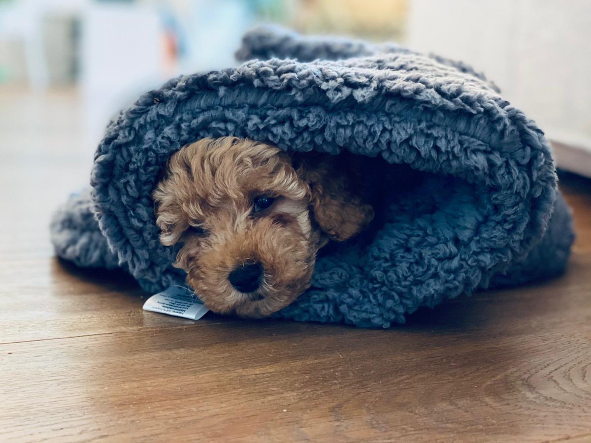 After 2 weeks of multiple health screens and asking everyone to quarantine, I surprised my closest inner circle with a trip to a private island where we could pretend things were normal just for a brief moment in time: Home. Family only. Normal during these times.