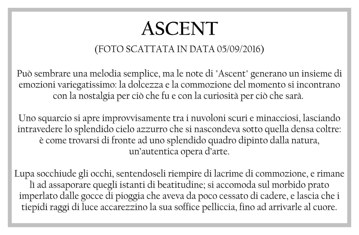 Experience_LC's tweet photo. 🇮🇹 #ProgettoExperience
Tutte le info su questo elaborato.

🇬🇧 #ProjectExperience 
All the info about this graphic artwork. https://t.co/Rlsby7T8rR