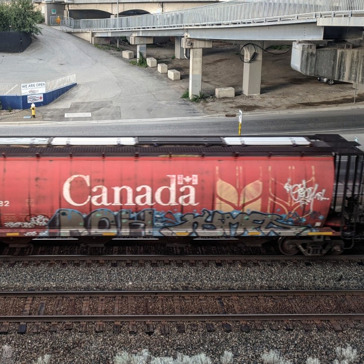 GraffitiExpress's tweet photo. roh nymfo
#kamloops #train #graffiti #art
#roh #nymfo https://t.co/FAQykIXv34