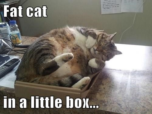 ㆍ (@fcbian94) on Twitter photo 