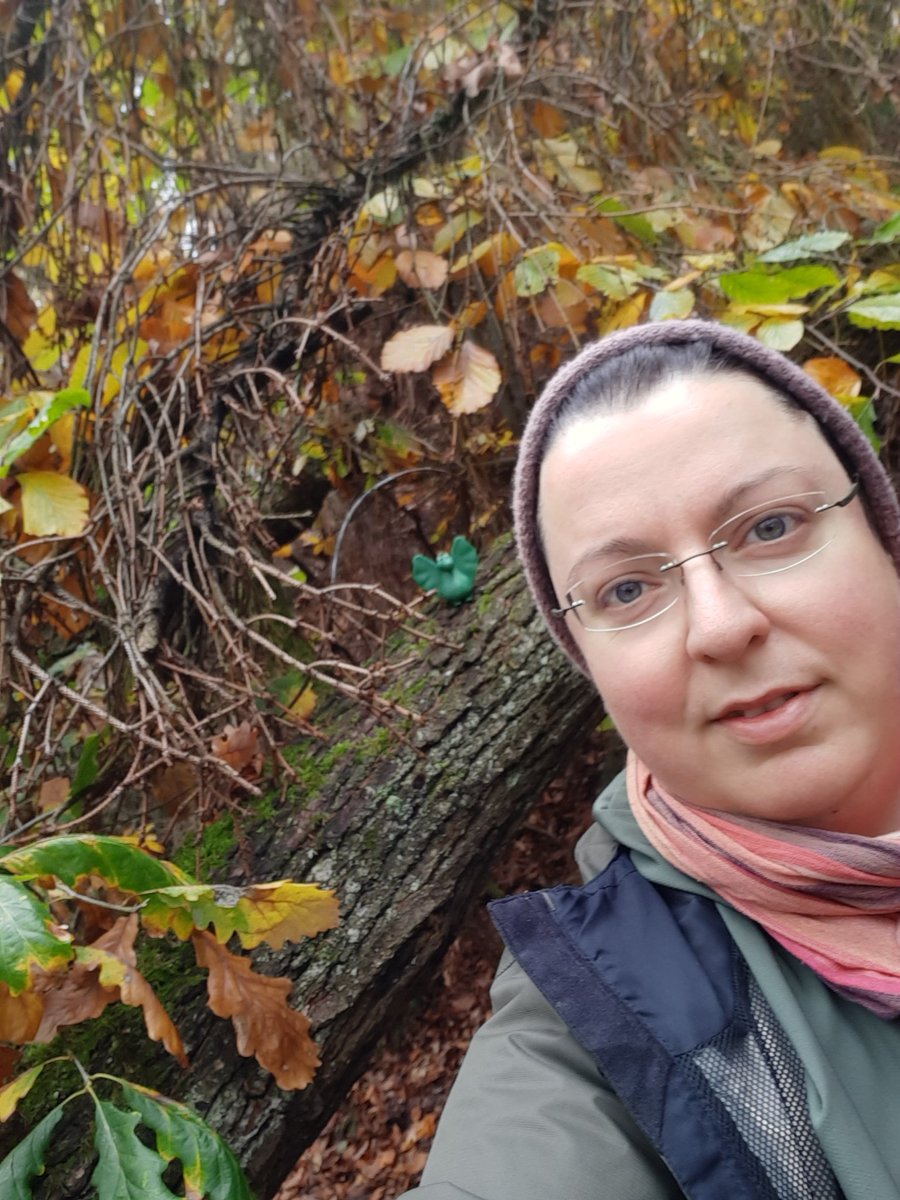 IvenaeusFischer's tweet photo. 🍁🍃🍂🍁 Erlebnisreiche Herbstwanderungen @kellerwald im #boggelreich #urwaldsteig @NLPZKellerwald - ein waldpädagogisches Paradies 😍 #walderleben 💚🤠 https://t.co/Cjb9FoOETl