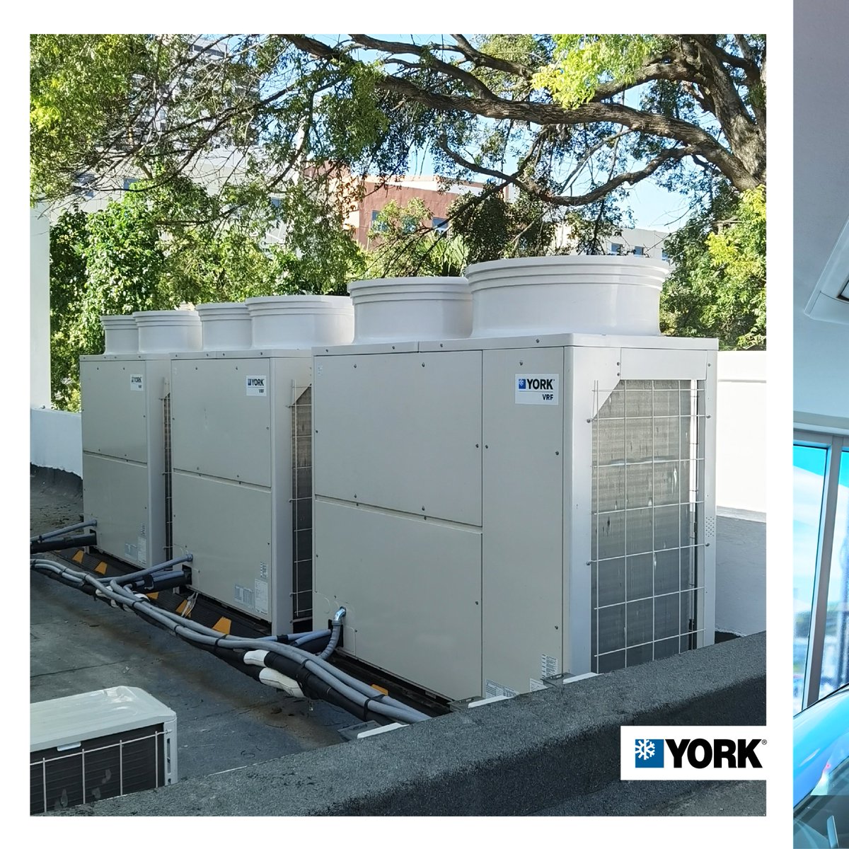Energuiard's tweet photo. Sistema de climatización VRF @YorkHVAC instalado en Magna Motors Sarasota. Este sistema cuenta con 4.6 toneladas de refrigeración con capacidad de climatizar 502 m2 ❄ 
#SomosTuGuía #EficienciaEnergéticaRD #AireAcondicionado #YorkAméricaLatina #VRF #AHRI https://t.co/7iF3g0UqaK