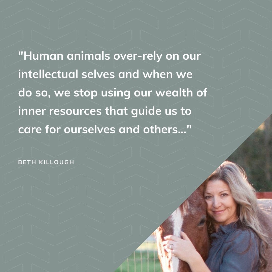 thecircleup's tweet photo. "We're so used to suppressing our sensory system—that mammal part of us—that it's a bit dormant." https://t.co/pM6glQ8AWW @MomsRising #MomsRising #RisersandShakers #Covid19 https://t.co/PXwYUASefj