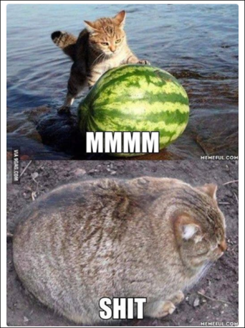 ㆍ (@fcbian94) on Twitter photo 