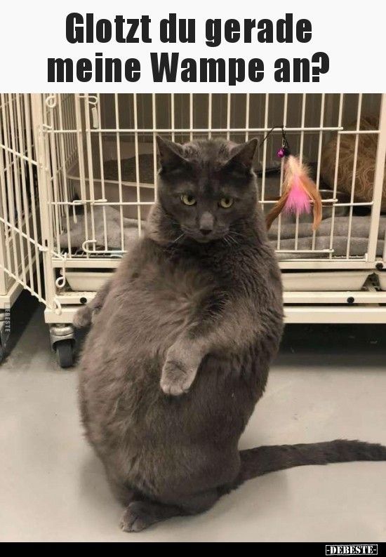 ㆍ (@fcbian94) on Twitter photo 