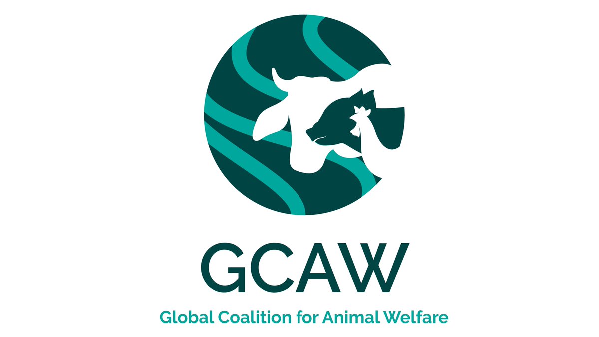 GCAW1's tweet photo. Today we welcome 5 new members to GCAW! @Tesco @TysonFoods @MapleLeafFoods @Cheesecake Factory 
and @HiltonFoods join our 7 founding companies in a shared mission to advance animal welfare throughout the global food supply chain.
https://t.co/TcPdTbttSo…
#AnimalWelfare https://t.co/8a0sCJEq5U