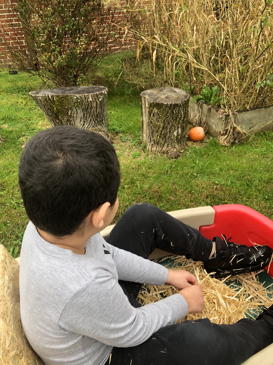 When you can’t go on a field trip to the pumpkin patch, you bring the hayride to you!! Ss loved going on a hayride thru the @bfes_ltps pumpkin patch, picking pumpkins, and painting them 🚜🎃 #fallfun #bfrocks @JayBilly2 @jmahler1972 @KFalangaGould @jeanne_fitton @eatpraylove219 https://t.co/U0Mt17KWRo