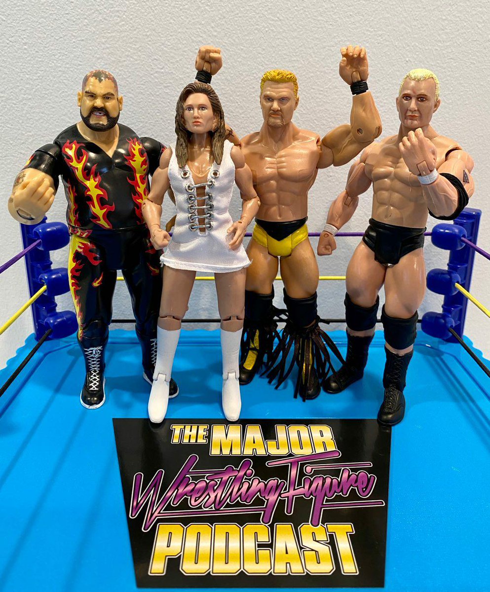 wrestling figure superstore