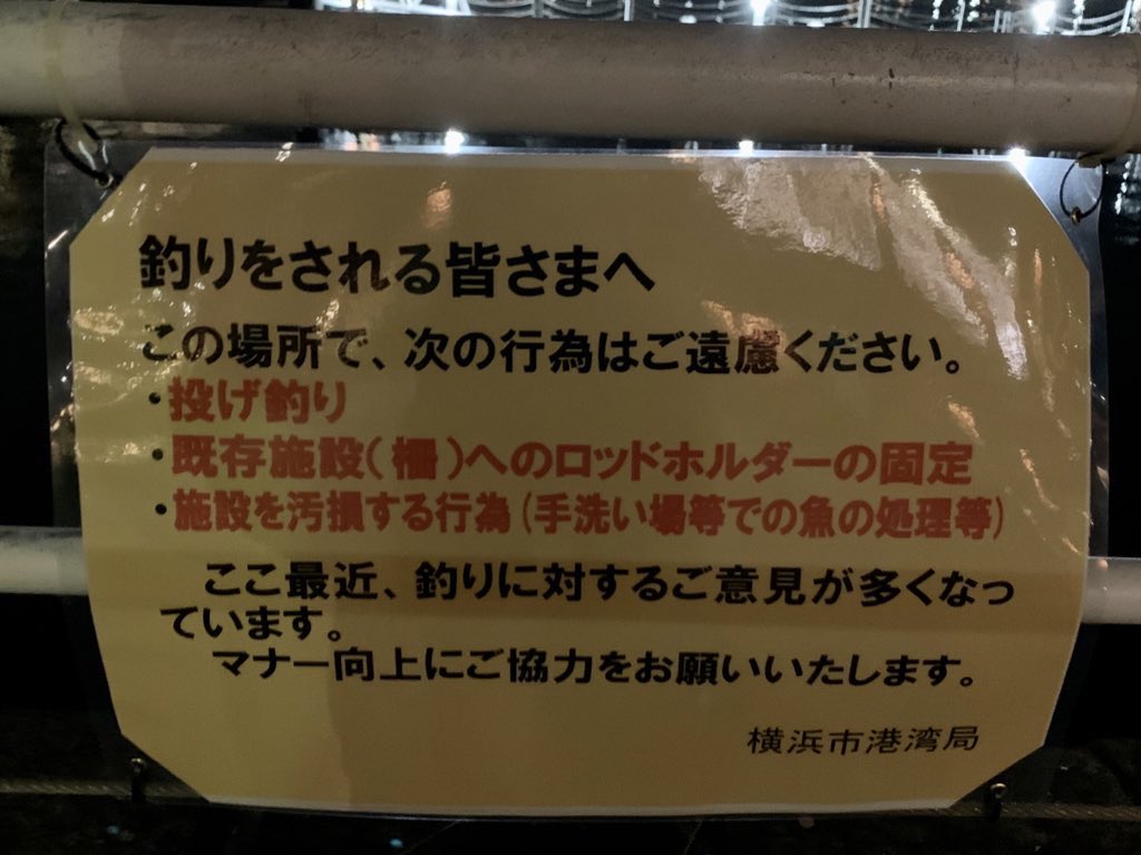 みなとみらい釣り