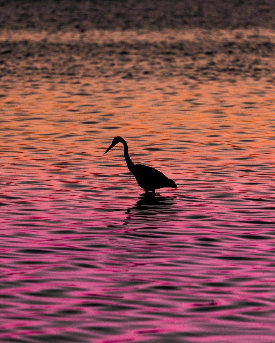 Just looking at this photo makes us feel a bit more relaxed 😍 #WeLovePEI

Photo by <a href="/aldouglas/">Al Douglas</a>