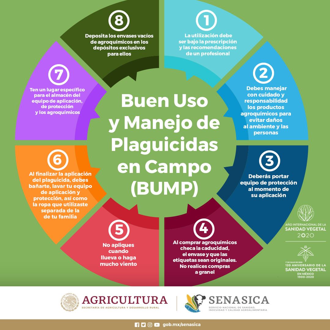PIPNAC's tweet photo. Recomendaciones para el buen uso y manejo de plaguicidas en campo https://t.co/K1vuAxgjWy