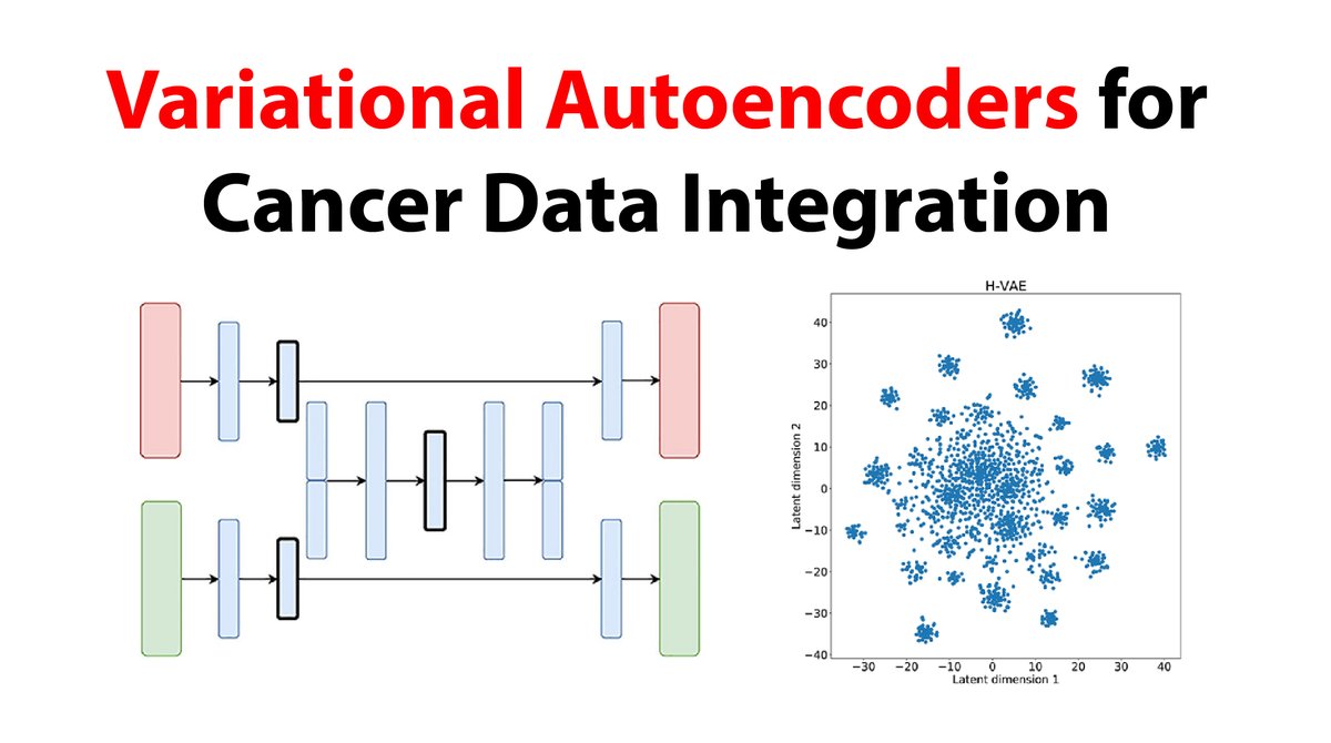 Andrei Margeloiu (@andreimargeloiu) on Twitter photo New Paper Review 📹 They introduce new multi-modal VAE to obtain shared representations from different data types of cancer patients. Published in <a href="/FrontGenetics/">Frontiers - Genetics</a>
youtu.be/HLZ36ZJ9GmQ
<a href="/simidjievskin/">Nikola Simidjievski</a> @CristianBodnar <a href="/paulmorio/">Paul Scherer</a> <a href="/helenaandrest/">Helena Andres Terre</a> <a href="/Mateja_Jamnik/">Mateja Jamnik</a> <a href="/pl219_Cambridge/">Pietro Lio'</a> New Paper Review 📹 They introduce new multi-modal VAE to obtain shared representations from different data types of cancer patients. Published in <a href="/FrontGenetics/">Frontiers - Genetics</a>
youtu.be/HLZ36ZJ9GmQ
<a href="/simidjievskin/">Nikola Simidjievski</a> @CristianBodnar <a href="/paulmorio/">Paul Scherer</a> <a href="/helenaandrest/">Helena Andres Terre</a> <a href="/Mateja_Jamnik/">Mateja Jamnik</a> <a href="/pl219_Cambridge/">Pietro Lio'</a>