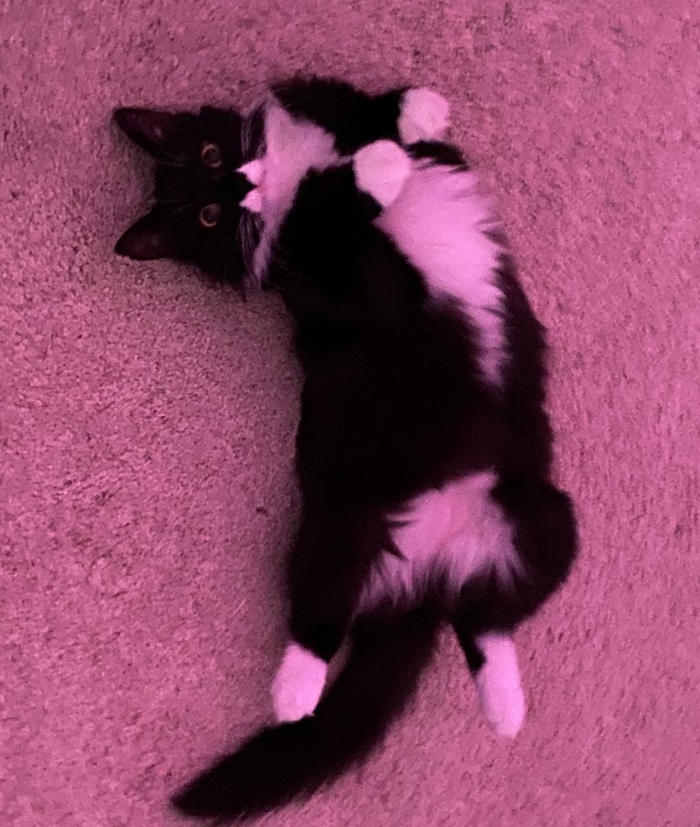 nasıl başladı   /   nasıl gidiyor