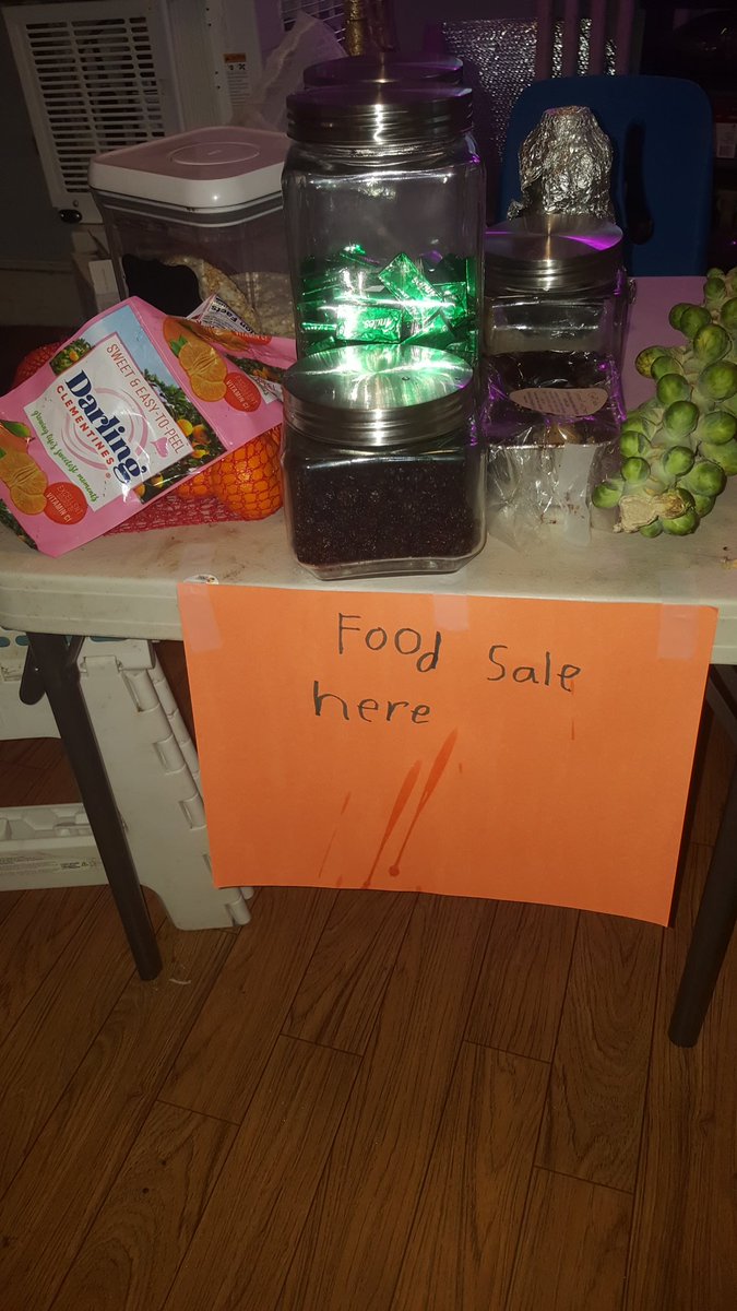 You all...I told 7 and 9 that this past weekend that the farmer's market was going to be inside for the winter so the pup couldn't come to that.9 made a farmer's market in the kitchen so "the whole family could shop".Don't mind me chopping onions.