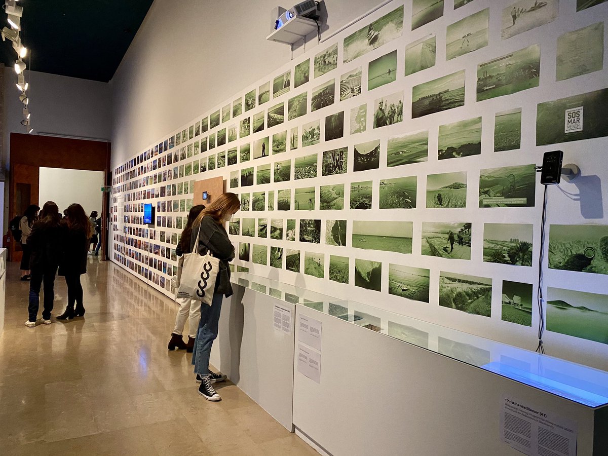 🌿 Un projecte expositiu, comissariat per María Ptqk, que reuneix artistes, científics i plataformes ciutadanes amb el propòsit de repensar col·laborativament aqueix territori.⁣
⁣
Et convidem a visitar-lo al #CCCC!⁣