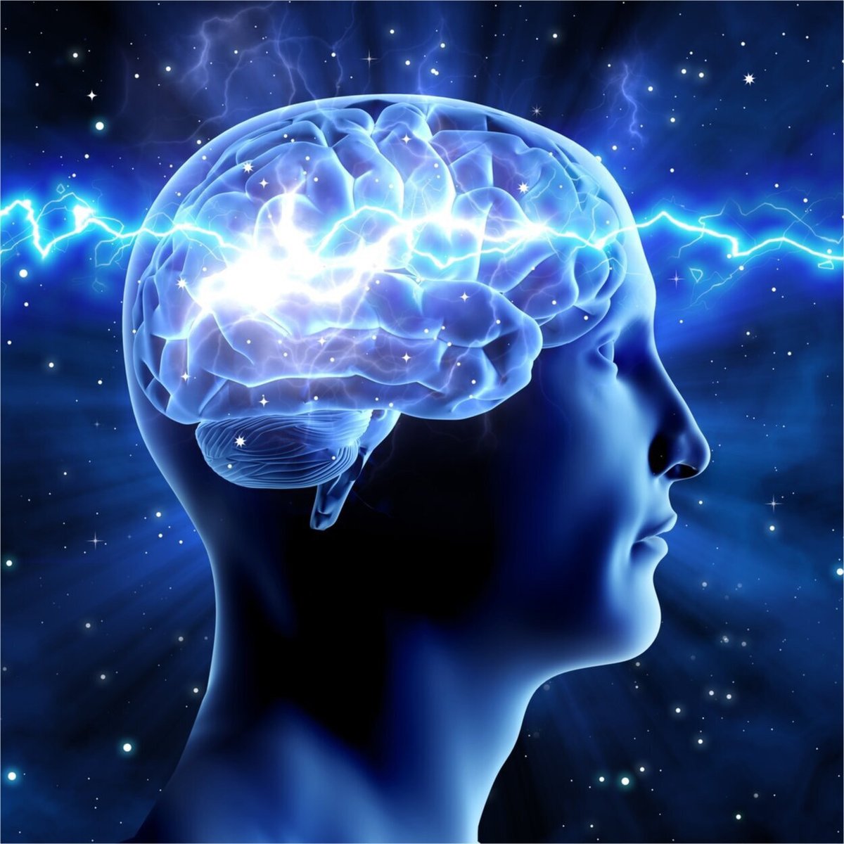 Florida Atlantic University at Jupiter Campus (@faujupiter) on Twitter photo FAU's Graduate Neuroscience Training Program invites you to join a Live Virtual Open House to learn more about our exciting doctoral program opportunities! 
Monday, Nov. 2: bit.ly/3dYWUbg
Tuesday, Nov. 3: bit.ly/2HHDTOd
#FAU #FAUJupiter #BrainInstitute FAU's Graduate Neuroscience Training Program invites you to join a Live Virtual Open House to learn more about our exciting doctoral program opportunities! 
Monday, Nov. 2: bit.ly/3dYWUbg
Tuesday, Nov. 3: bit.ly/2HHDTOd
#FAU #FAUJupiter #BrainInstitute
