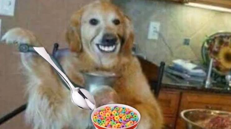 Terminatorisa's tweet photo. En la escala del perro 🐺😈 diabólico que come cereal con cuchara, cómo te sientes hoy?

@Ruwinsky @todosarmados @SusiAvur @opmucino @nofm_radio https://t.co/iZC4Epk9FJ