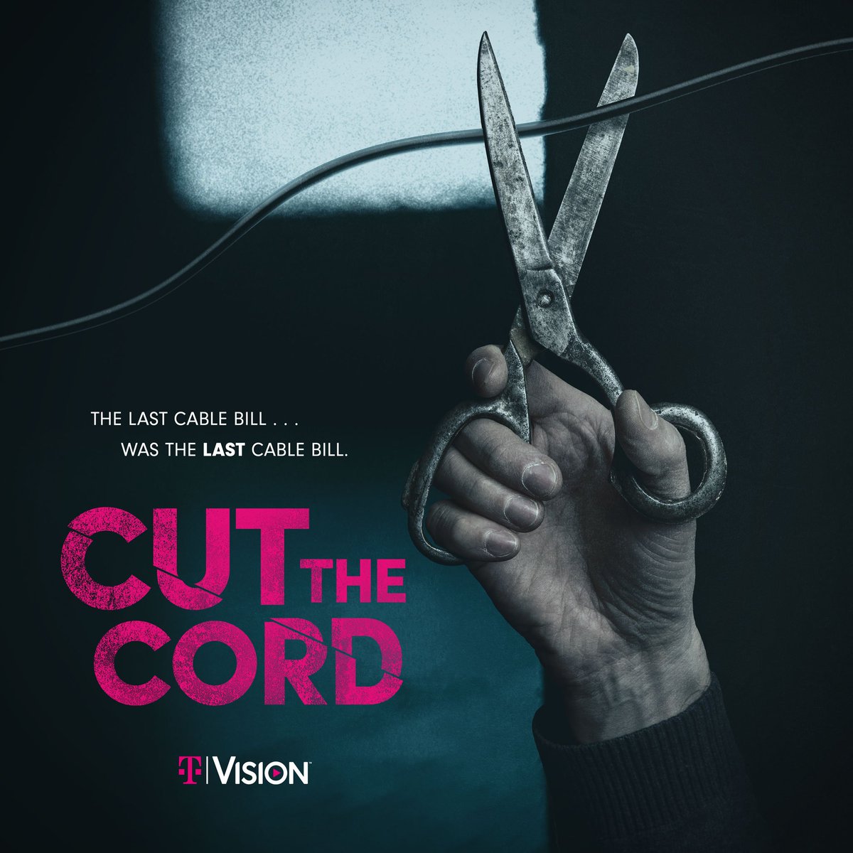 Spoiler alert: They get TVision and live happily ever after. <a href="/TMobile/">T-Mobile</a> #TVDoneRight #TeamMagenta t-mo.co/3owpiq2